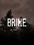 BRINE - PC - STEAM - EN - WORLDWIDE