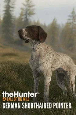 Libelula Vesela