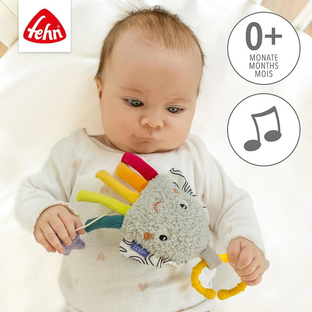 JUCARIE MUZICALA MINI - CARACATITA COLORATA - FEHN (043075)