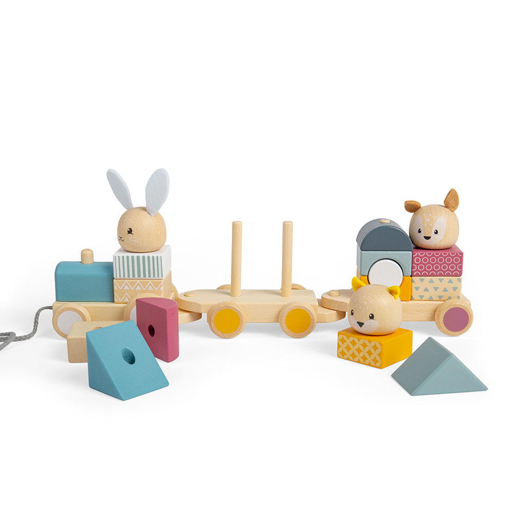 TRENULET CU FORME - ANIMALUTE VESELE - BIGJIGS TOYS (32012)