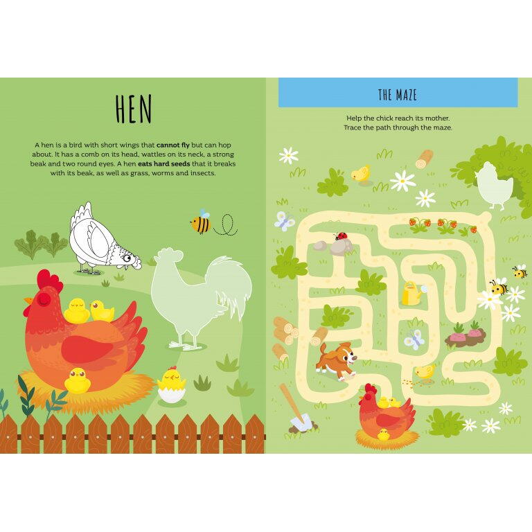 CARTE DE ACTIVITATI CU ABTIBILDURI - FERMA - SASSI (978-88-303-1321-7)