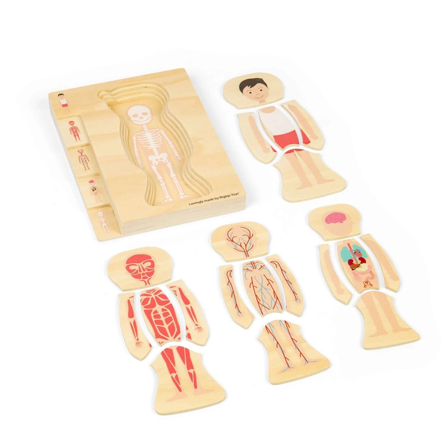 PUZZLE ANATOMIC DIN LEMN - BAIAT - BIGJIGS TOYS (37021)