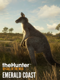 THEHUNTER: CALL OF THE WILD - EMERALD COAST AUSTRALIA - PC - STEAM - MULTILANGUAGE - WORLDWIDE - Libelula Vesela - Jocuri video