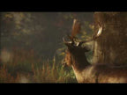 THEHUNTER CALL OF THE WILD VURHONGA SAVANNA COSMETIC PACK - PC - STEAM - MULTILANGUAGE - WORLDWIDE