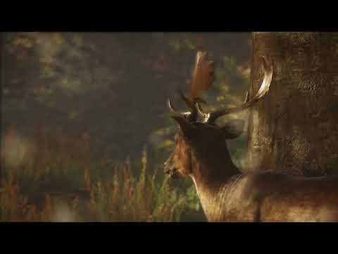 THEHUNTER CALL OF THE WILD VURHONGA SAVANNA COSMETIC PACK - PC - STEAM - MULTILANGUAGE - WORLDWIDE