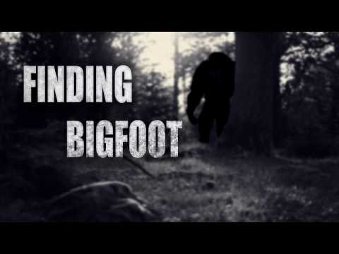 BIGFOOT - PC - STEAM - MULTILANGUAGE - WORLDWIDE