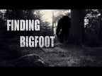 BIGFOOT - PC - STEAM - MULTILANGUAGE - WORLDWIDE