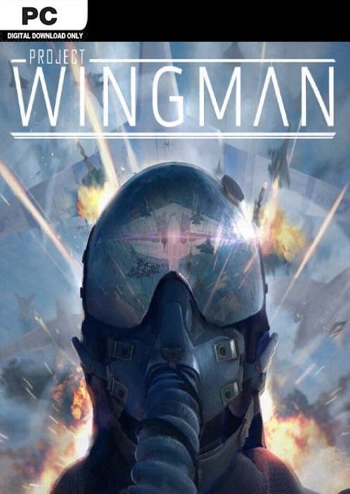 WINGMEN - STEAM - MULTILANGUAGE - WORLDWIDE - PC - Libelula Vesela - Jocuri video