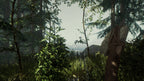 THE FOREST - STEAM - WORLDWIDE - MULTILANGUAGE - PC - Libelula Vesela - Jocuri video