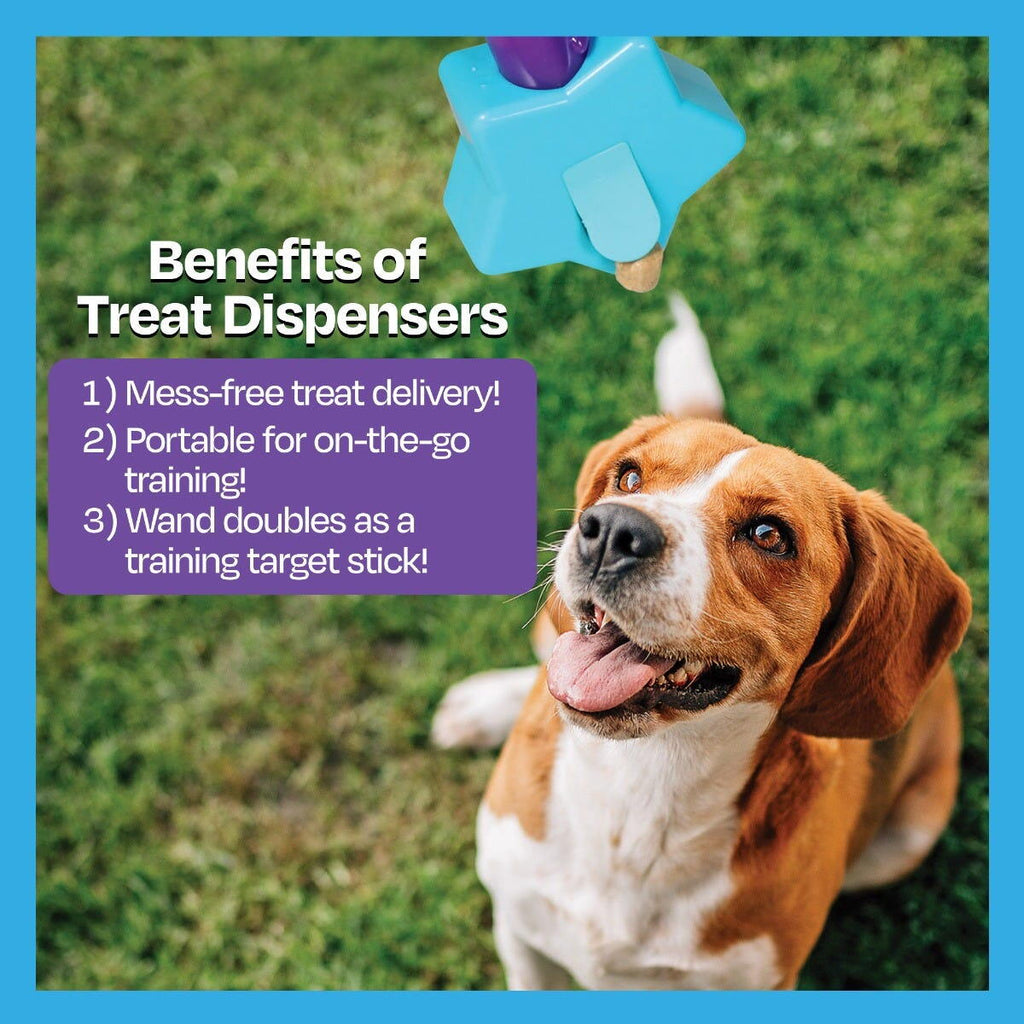 JUCARIE DRESAJ CAINI - JUCARIE ELIBERARE RECOMPENSE - BAGHETA MAGICA (STEA) - BRIGHTKINS (LER9378) - Libelula Vesela - Jucarii