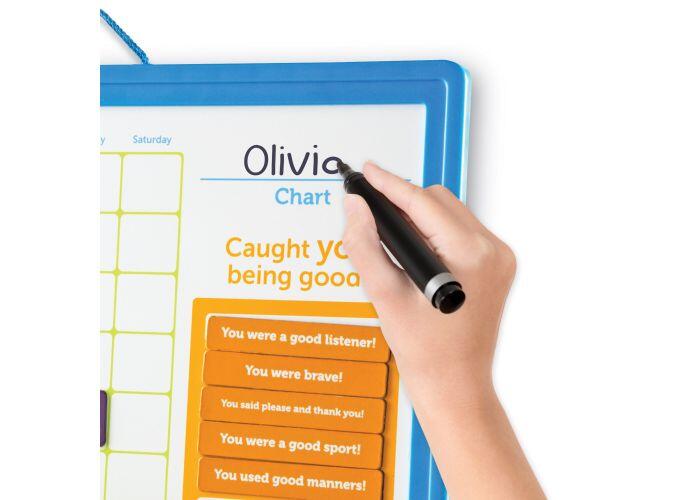 SET MAGNETIC - PANOUL RECOMPENSELOR - LEARNING RESOURCES (LER9580) - Libelula Vesela - Jucarii