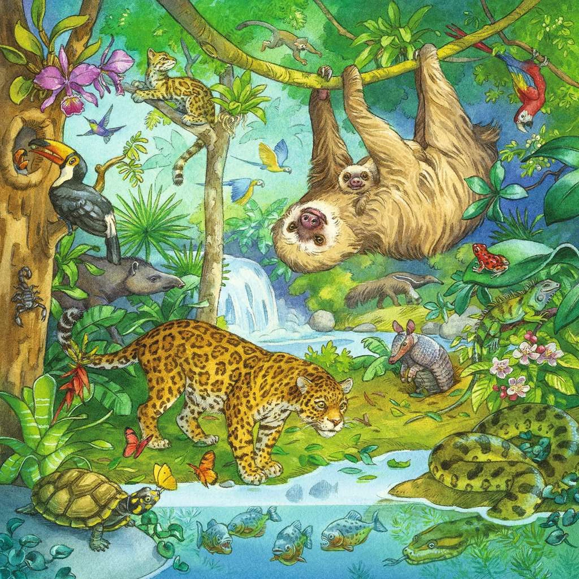 PUZZLE AVENTURI IN JUNGLA, 3X49 PIESE - RAVENSBURGER (05180) - Libelula Vesela - Jucarii