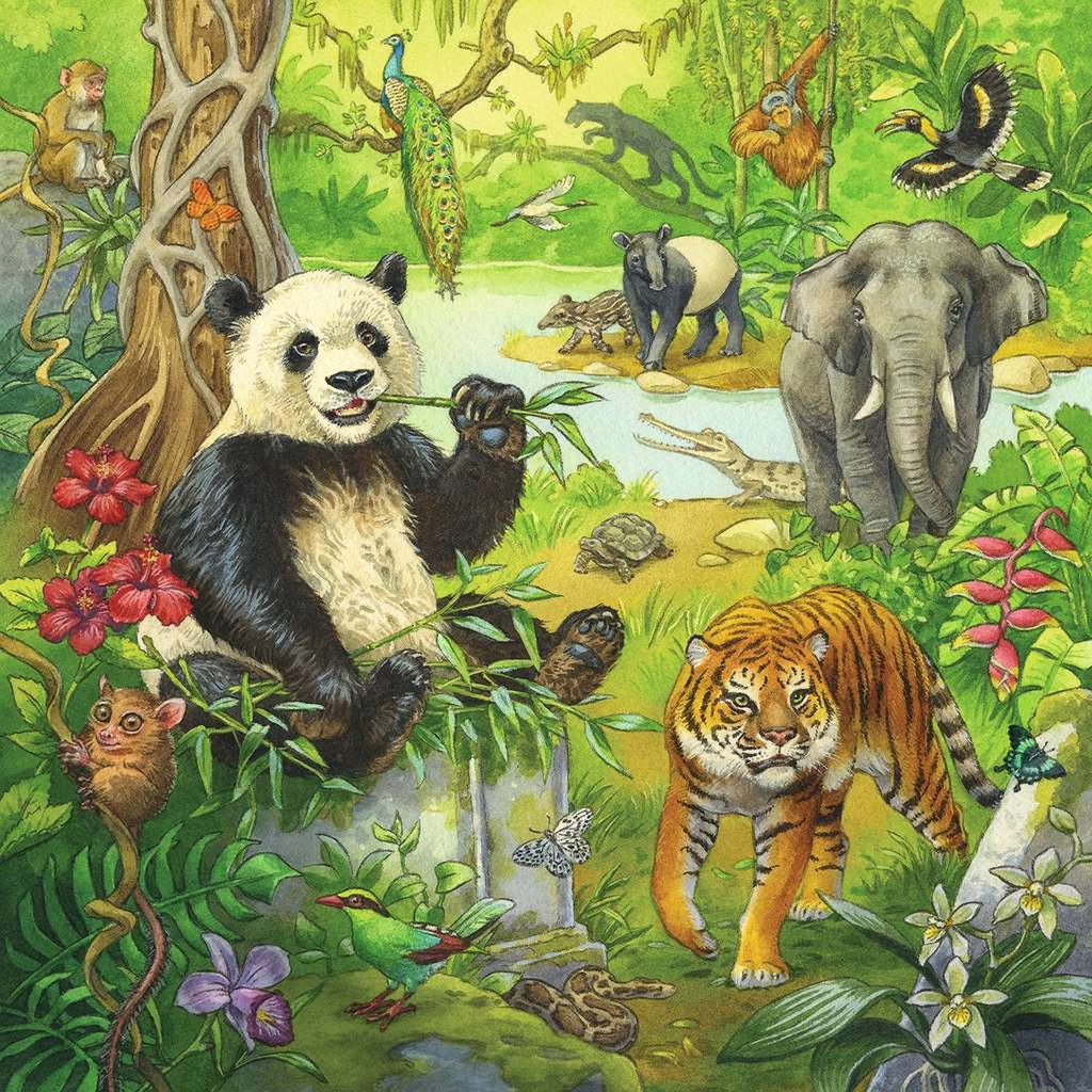 PUZZLE AVENTURI IN JUNGLA, 3X49 PIESE - RAVENSBURGER (05180) - Libelula Vesela - Jucarii