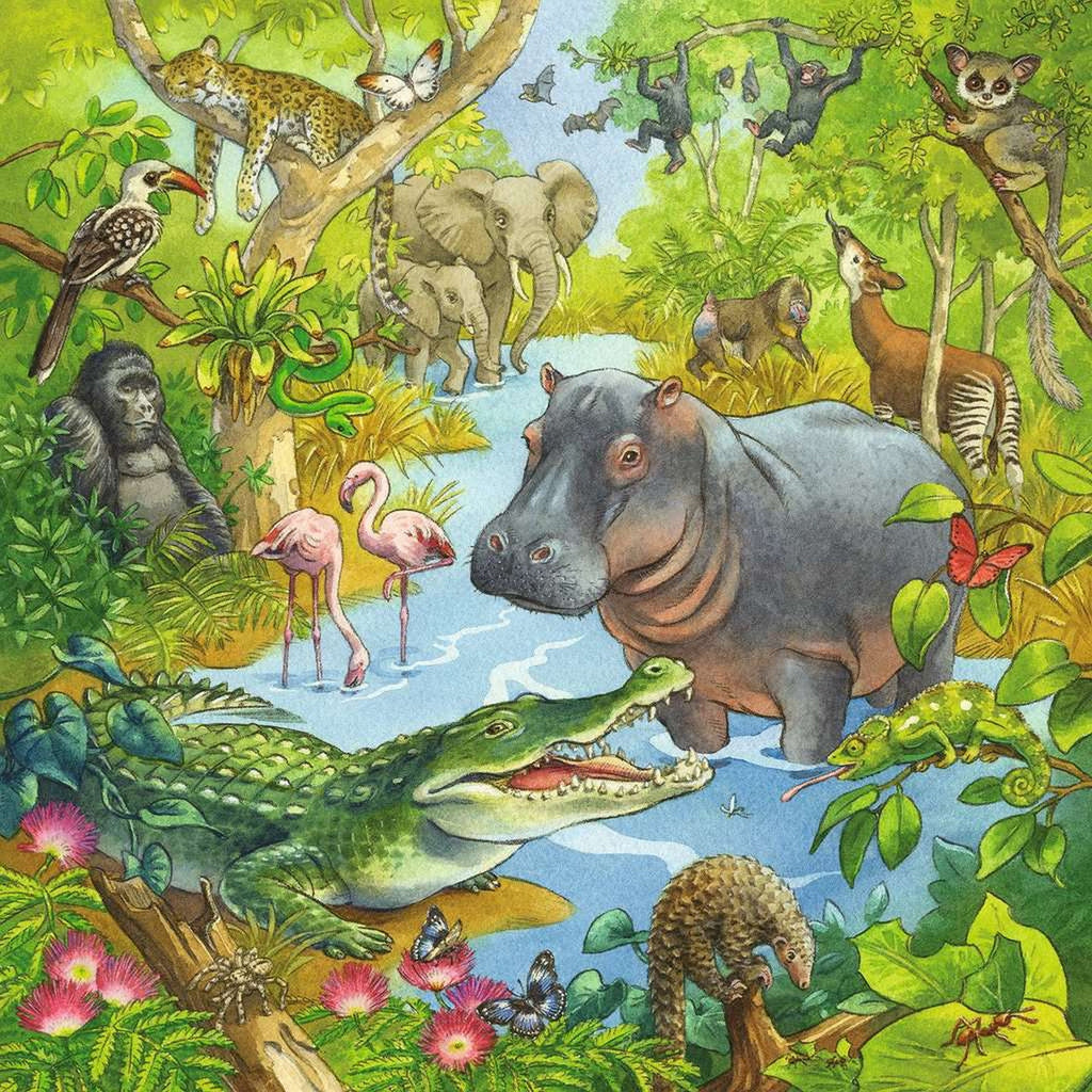 PUZZLE AVENTURI IN JUNGLA, 3X49 PIESE - RAVENSBURGER (05180) - Libelula Vesela - Jucarii