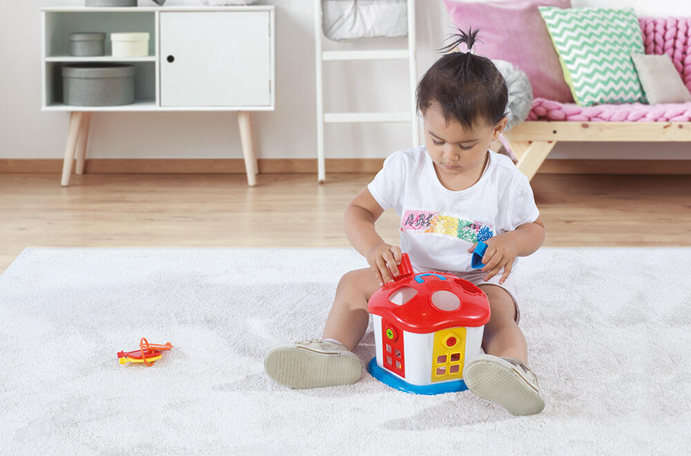 JOC SORTARE - CASUTA VESELA CU CHEI - DOLU (D5096) - Libelula Vesela - Jucarii