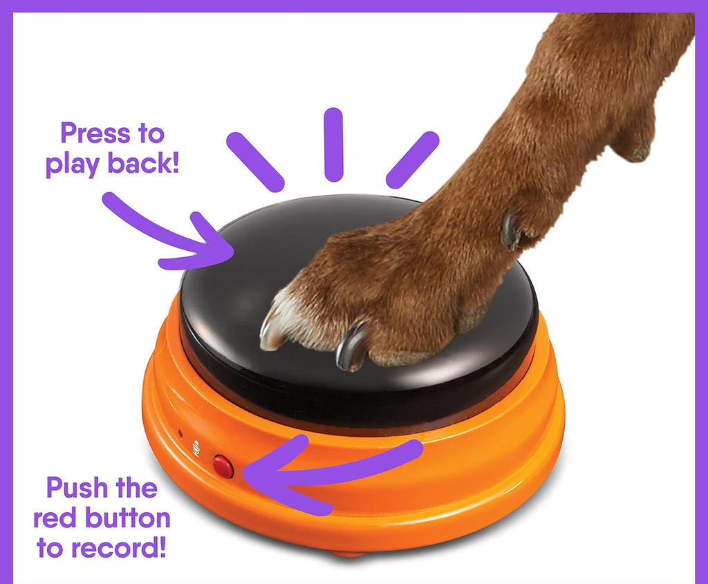 SET DRESAJ CAINI - SONERII DRESAJ CATEL - HUNGER FOR WORDS (LSP9351) - Libelula Vesela - Jucarii