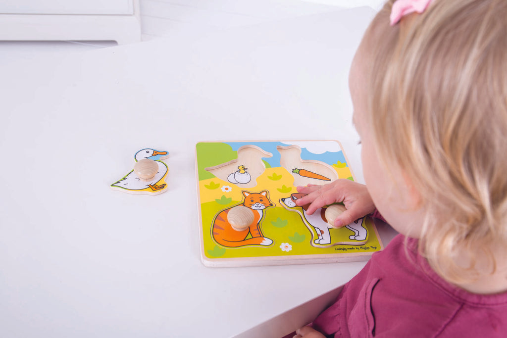 PRIMUL MEU PUZZLE - ANIMALE DE COMPANIE - BIGJIGS (BJ224) - Libelula Vesela - Jucarii