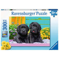 PUZZLE CATELUSI, 300 PIESE - RAVENSBURGER (RVSPC12950) - Libelula Vesela - Jucarii