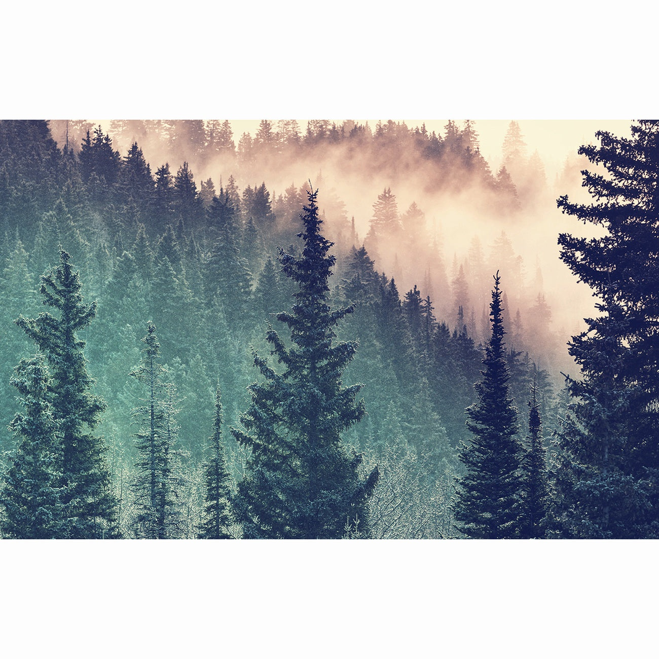 PUZZLE PADURE, 200 PIESE - RAVENSBURGER (RVSPA12958) - Libelula Vesela - Jucarii