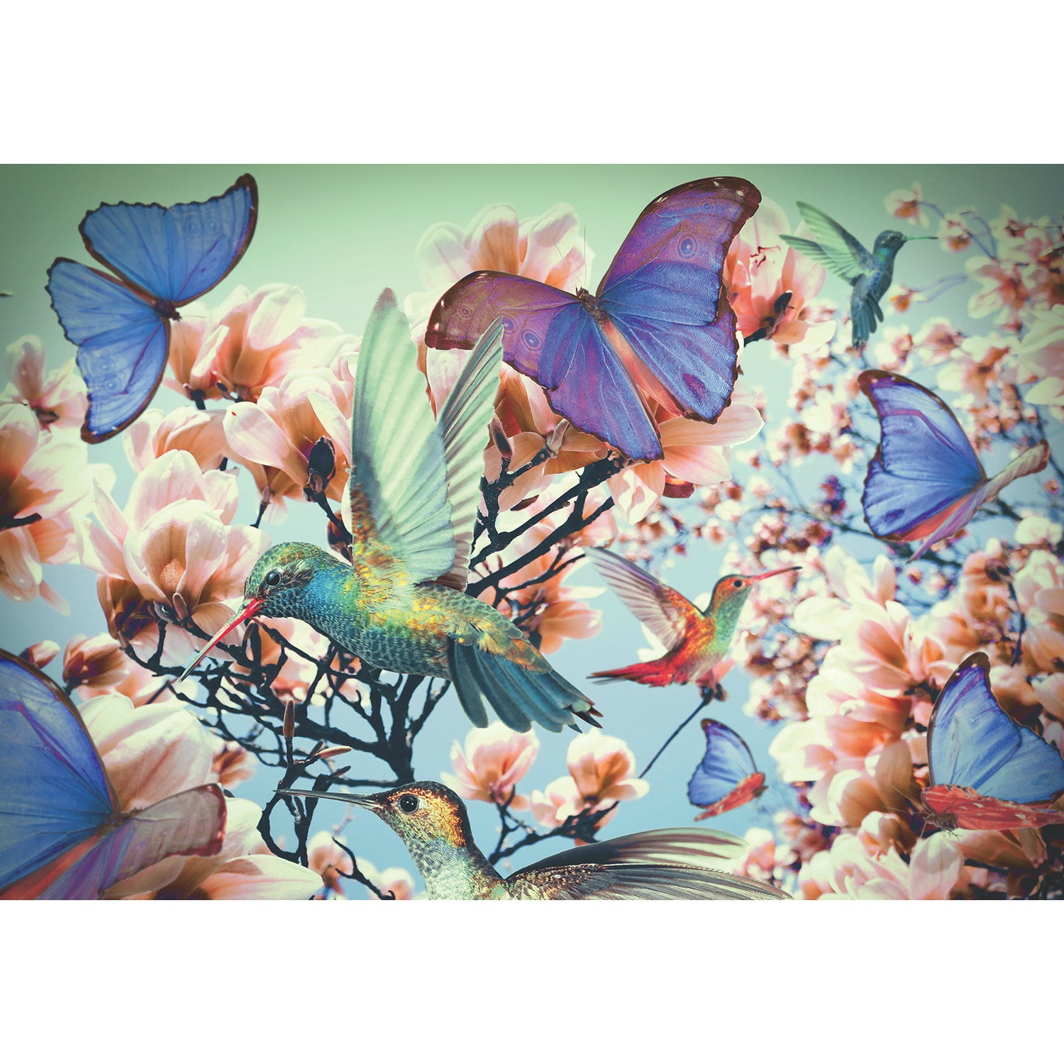 PUZZLE PASAREA COLIBRI, 300 PIESE - RAVENSBURGER (RVSPA12969) - Libelula Vesela - Jucarii