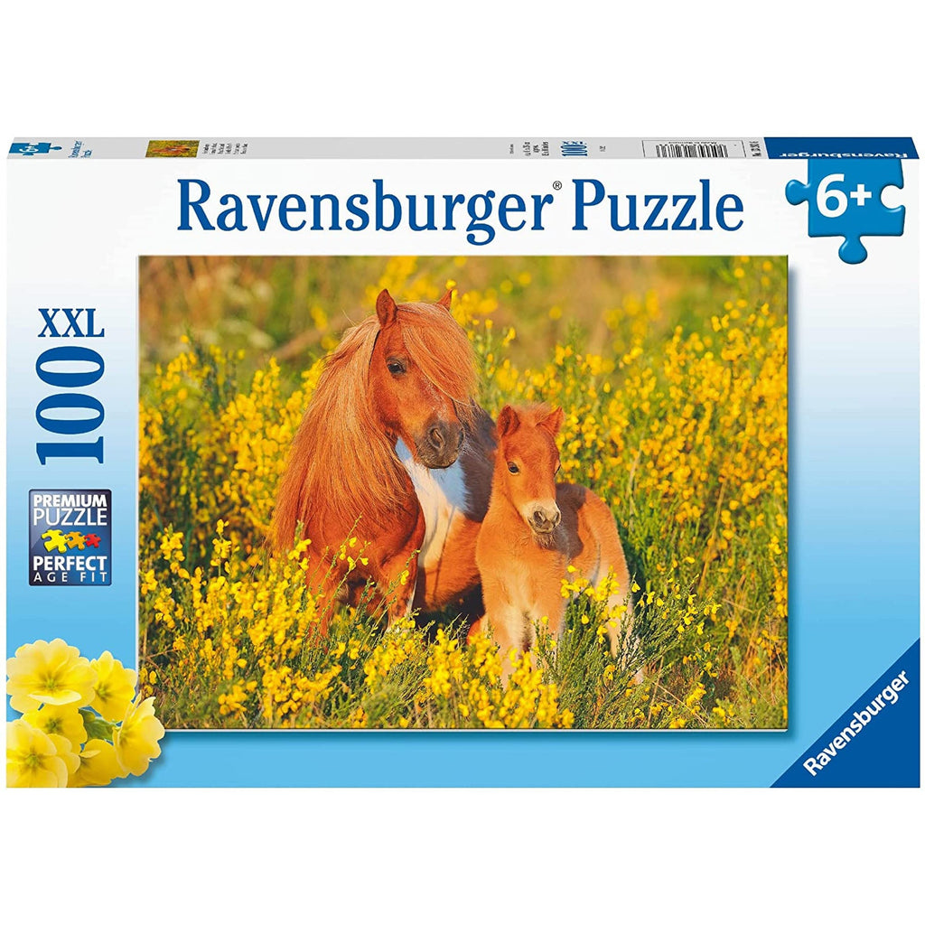 PUZZLE PONEI, 100 PIESE - RAVENSBURGER (13283) - Libelula Vesela - Jucarii