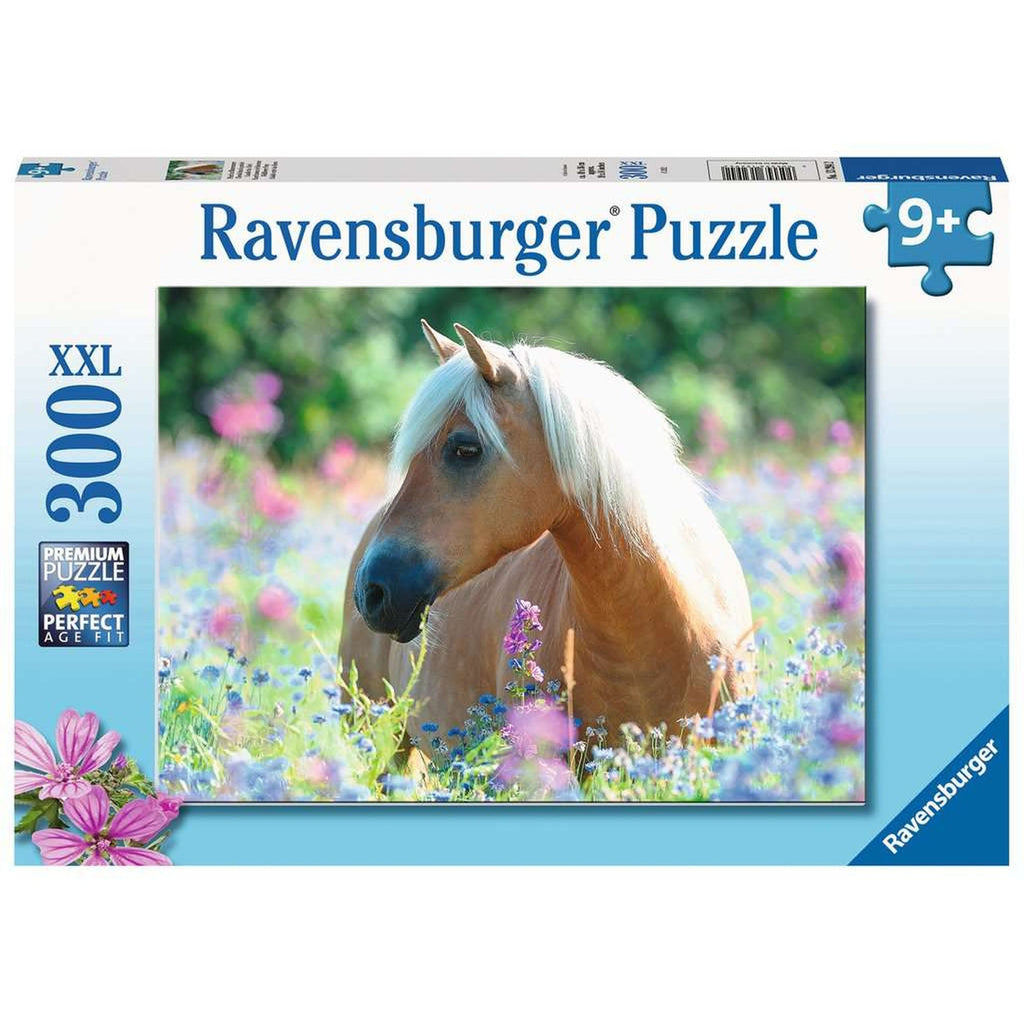 PUZZLE CALUT PE CAMP DE FLORI, 300 PIESE - RAVENSBURGER (13294) - Libelula Vesela - Jucarii