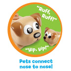 JOC CODARE - CATELUSII JUCAUSI - LEARNING RESOURCES (LER3080) Libelula Vesela