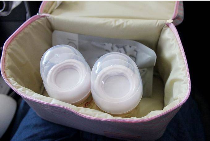 GEANTA TERMOIZOLANTA PENTRU TRANSPORT - SPECTRA (ENAC001) - Libelula Vesela - Puericultura