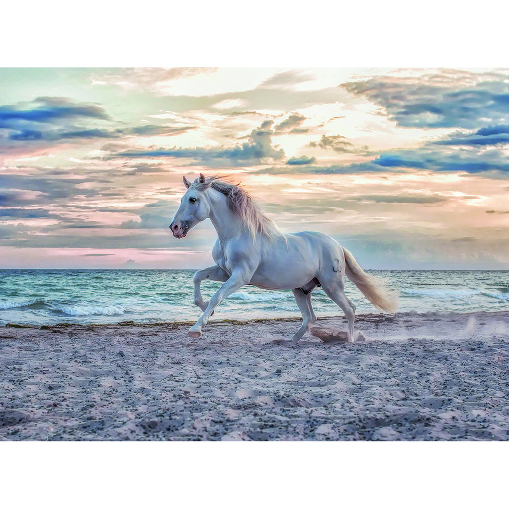 PUZZLE CAL PE PLAJA, 500 PIESE - RAVENSBURGER (RVSPA16586) - Libelula Vesela - Jucarii