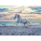 PUZZLE CAL PE PLAJA, 500 PIESE - RAVENSBURGER (RVSPA16586) - Libelula Vesela - Jucarii
