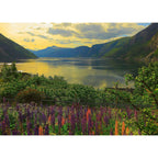 PUZZLE FIORD NORVEGIA, 1000 PIESE - RAVENSBURGER (RVSPA16743) - Libelula Vesela - Jucarii