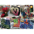 PUZZLE FLORI IN NEW YORK, 1000 PIESE - RAVENSBURGER (RVSPA16819) - Libelula Vesela - Jucarii