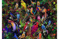 PUZZLE ARTA PASARILOR, 1000 PIESE - RAVENSBURGER (RVSPA16832) - Libelula Vesela - Jucarii