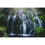 PUZZLE CASCADA, 3000 PIESE - RAVENSBURGER (17116) - Libelula Vesela - Jucarii