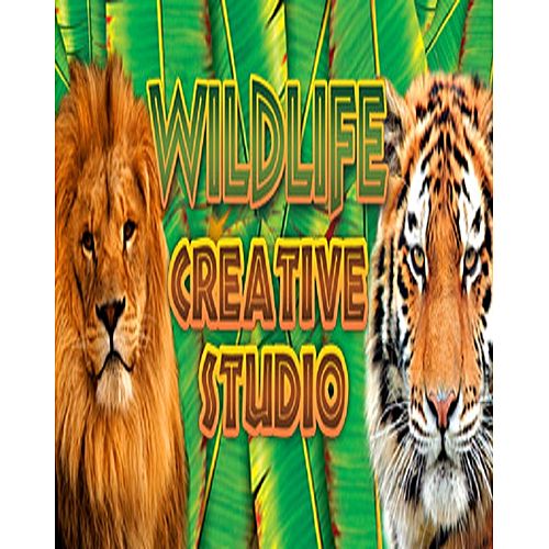 THE WILDLIFE CREATIVE STUDIO - STEAM - PC - EU - Libelula Vesela - Jocuri video