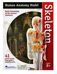 SABLON CORP UMAN - SCHELET (LER3337) - Libelula Vesela - Jucarii