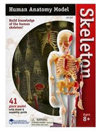 SABLON CORP UMAN - SCHELET (LER3337) - Libelula Vesela - Jucarii