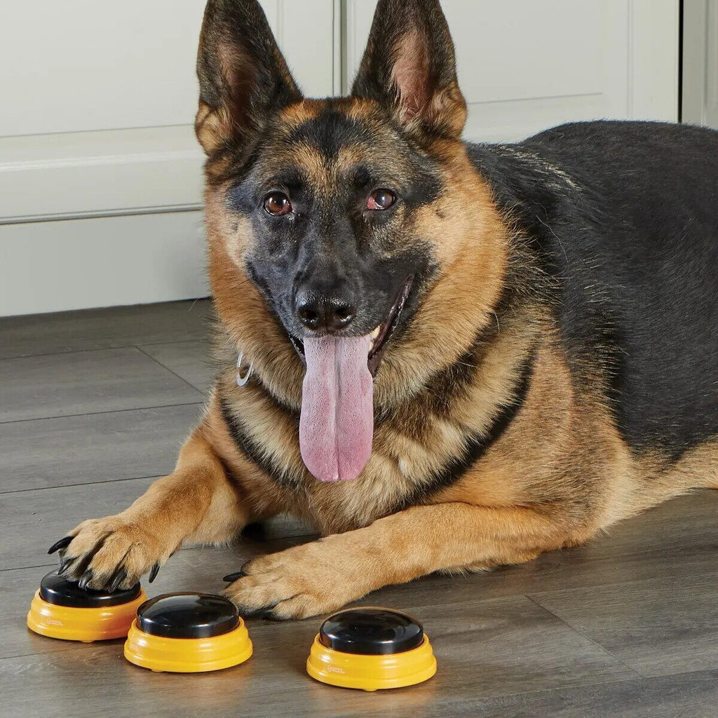 SET DRESAJ CAINI - SONERII DRESAJ CATEL CUVINTE ESENTIALE - HUNGER FOR WORDS (LER9353) - Libelula Vesela - Jucarii