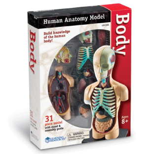 SABLON - CORP UMAN (LER3336) - Libelula Vesela - Jucarii