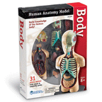 SABLON - CORP UMAN (LER3336) - Libelula Vesela - Jucarii