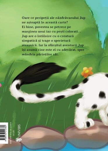 JUP, UN PISOI DE SOI - VOLUMUL IX - UN SALT NOROCOS - UNIVERS (9789733412380) - Libelula Vesela - Carti