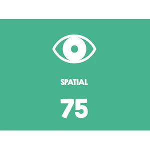 HEADU - PRIMELE MELE DECORATIUNI ARTISTICE - HEADU (HE51869)