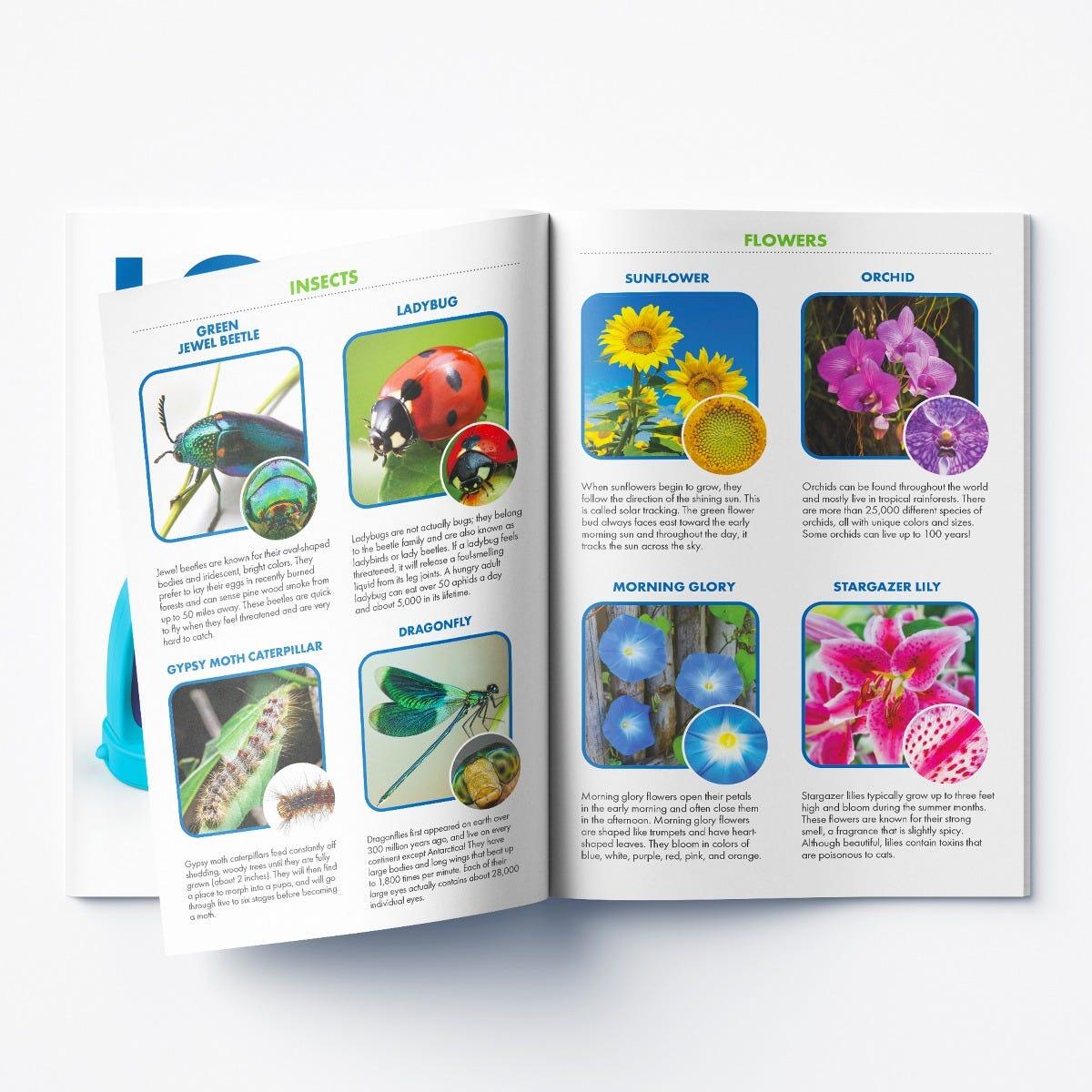 GEOSAFARI - MICROSCOP KIDSCOPE - EDUCATIONAL INSIGHTS (EI-5117) - Libelula Vesela - Jucarii