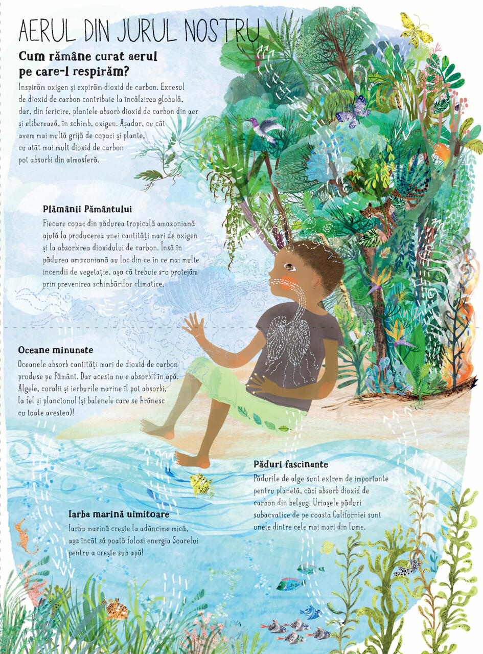 MAREA CARTE CU INTREBARI - DPH (978-606-048-441-7) - Libelula Vesela - Carti