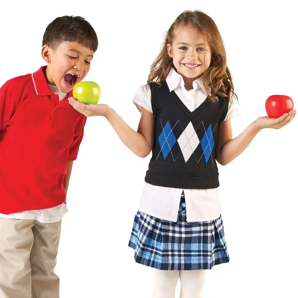 MERE MAGNETICE PENTRU FRACTII - LEARNING RESOURCES (LER0904) - Libelula Vesela - Jucarii