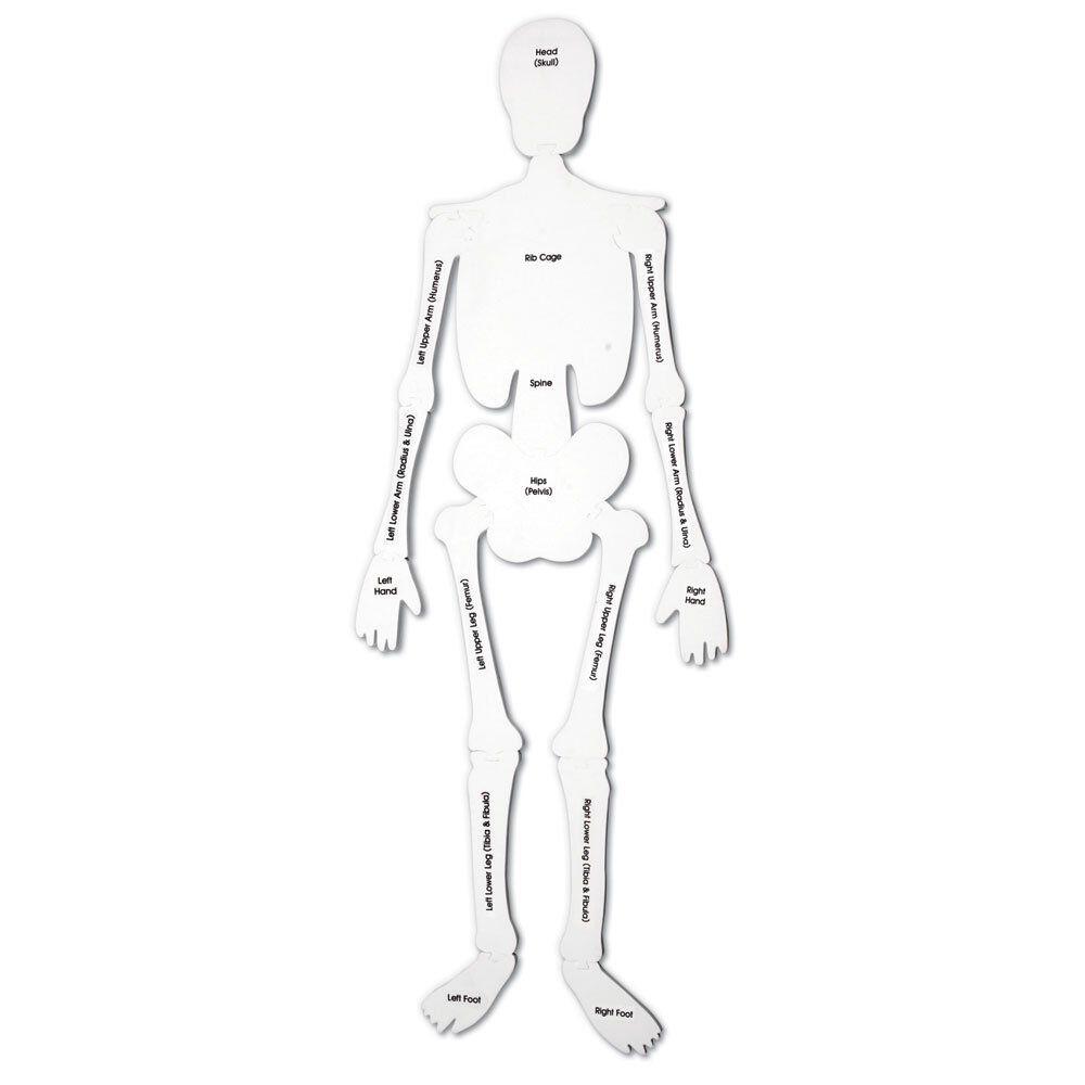 PUZZLE DE PODEA - SCHELET - LEARNING RESOURCES (LER3332) - Libelula Vesela - Jucarii