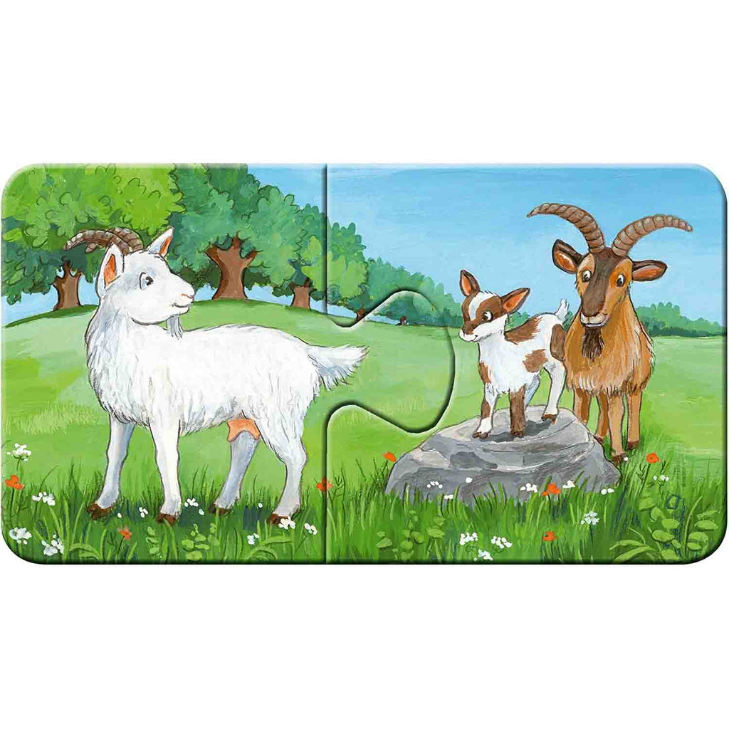 PUZZLE FAMILII DE ANIMALE, 9X2 PIESE - RAVENSBURGER (RVSPC05072) - Libelula Vesela - Jucarii