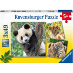 PUZZLE PANDA, LEU SI TIGRU, 3X49 PIESE - RAVENSBURGER (RVSPC05666) - Libelula Vesela - Jucarii