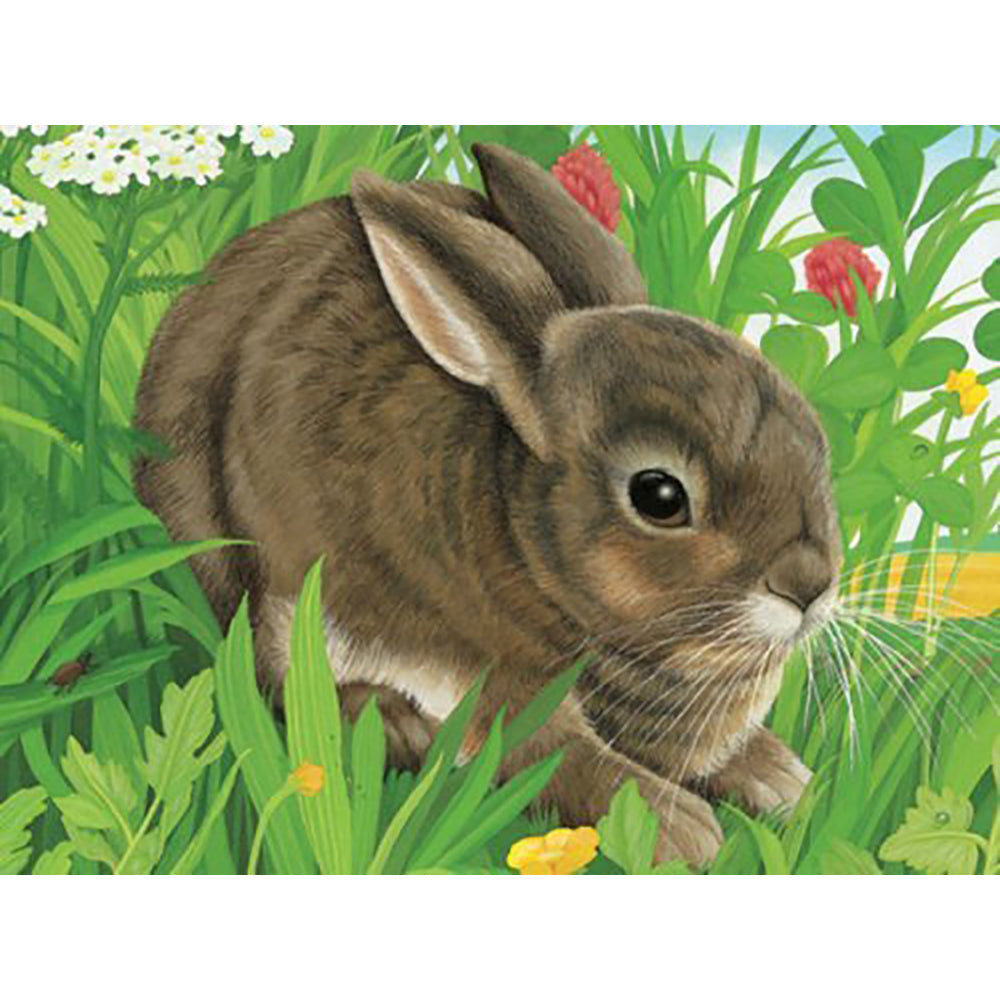 PUZZLE IN CUTIE ANIMALE, 12 PIESE - RAVENSBURGER (RVSPC07412) - Libelula Vesela - Jucarii