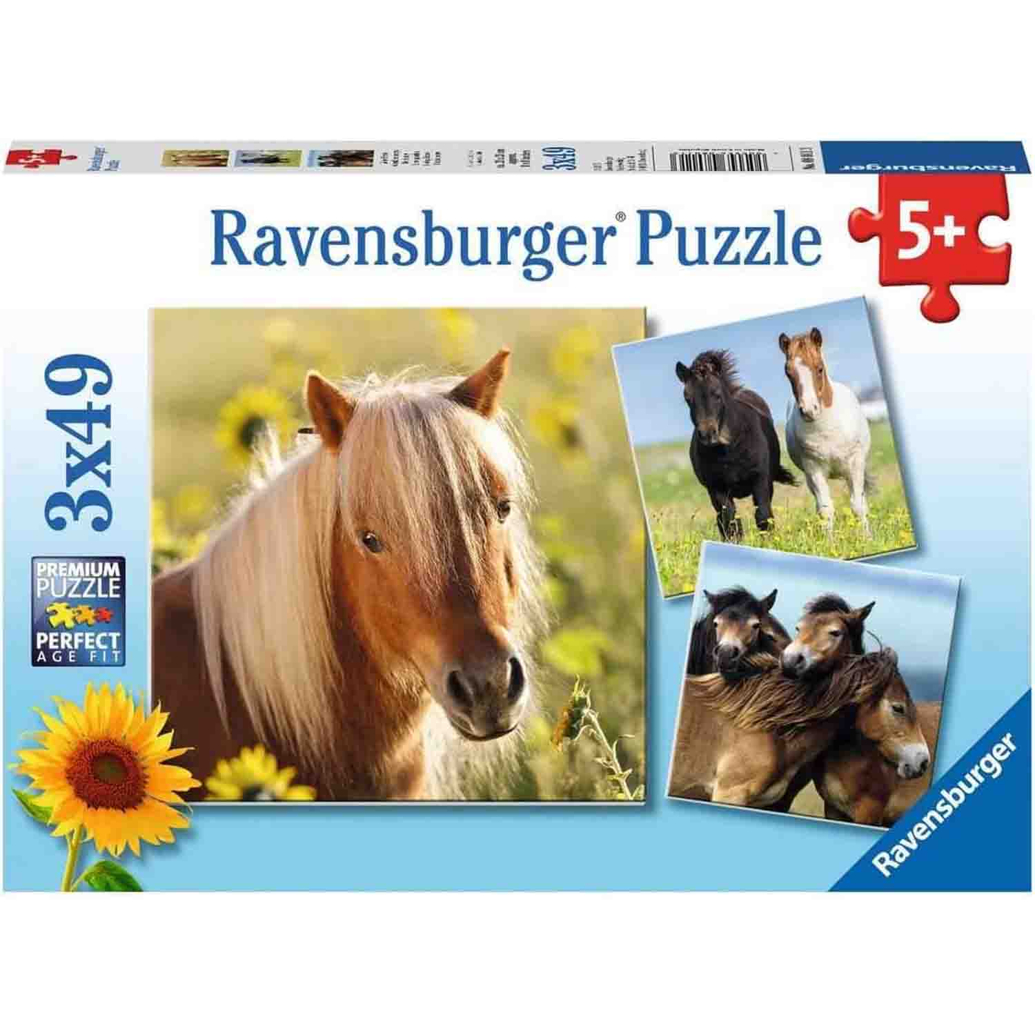PUZZLE CAI, 3X49 PIESE - RAVENSBURGER (RVSPC08011) - Libelula Vesela - Jucarii